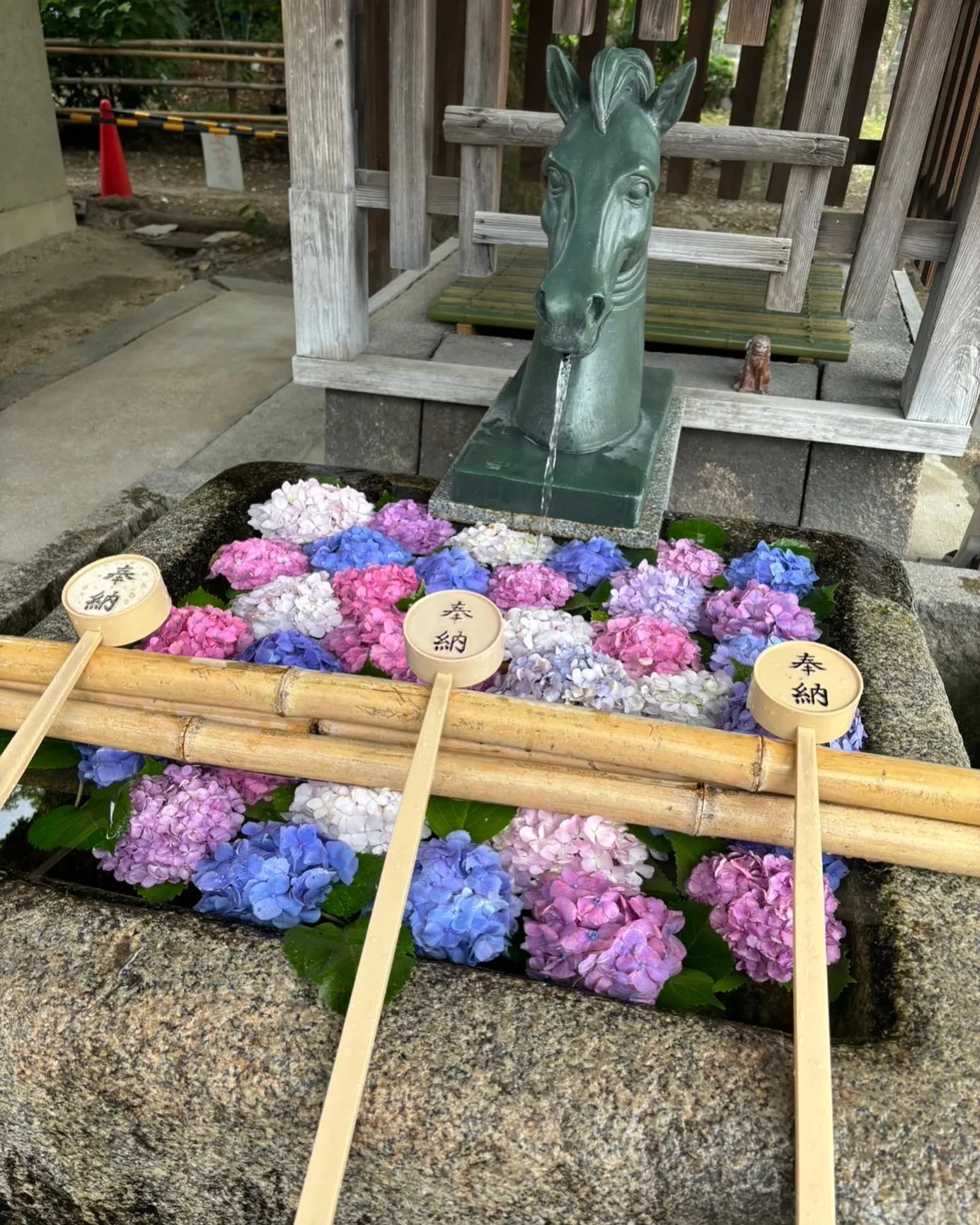 今年もお盆、夏休みが終わり、秋の訪れを感じる時期になってきま...